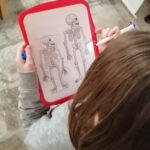 Carousel Musée préhistoire - 2