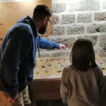 Carousel Musée préhistoire - 6